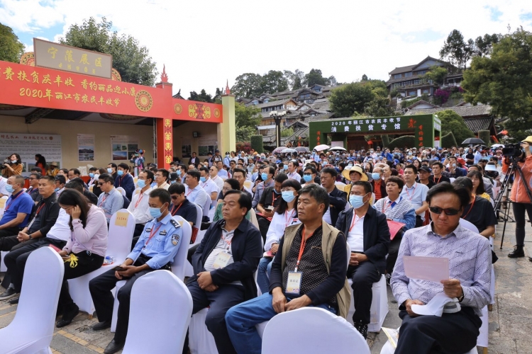 丽江市2020年中国农民丰收节暨绿色农产品展销活动开幕啦！4.jpg