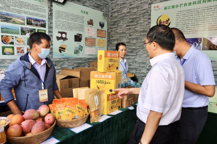 丽江市2020年中国农民丰收节暨绿色农产品展销活动开幕啦！9.jpg