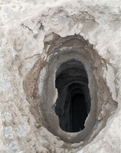 丽江“为都古墓群”考古出土商周时期遗物1000余件，还引出新发现.. (10).jpg