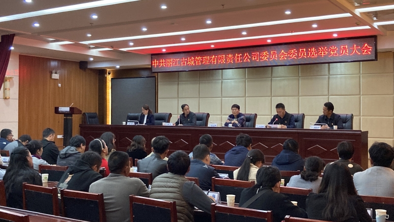 党委大会3.JPG