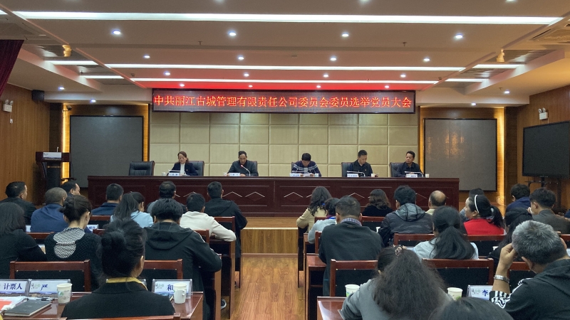 党委大会2.JPG