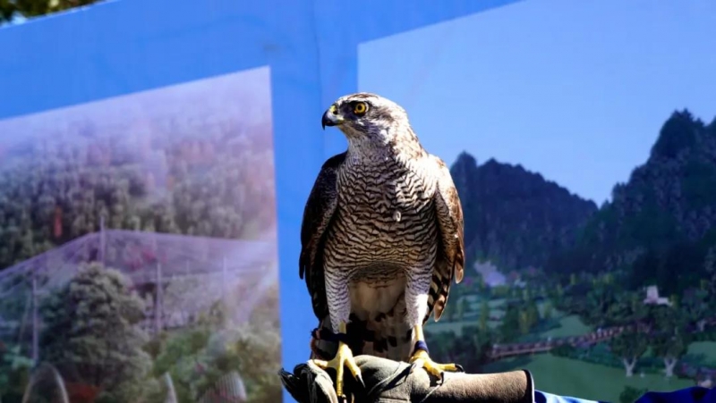 丽江鹰猎文化旅游风景区项目正式开工，项目占地1.2万亩，总投资10个亿.jpg