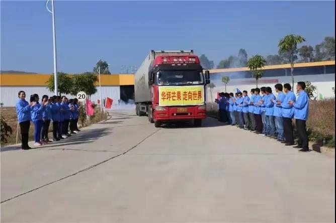 华坪县：产业扶贫筑牢增收根基 绿水青山育出“绿色银行”5.jpg
