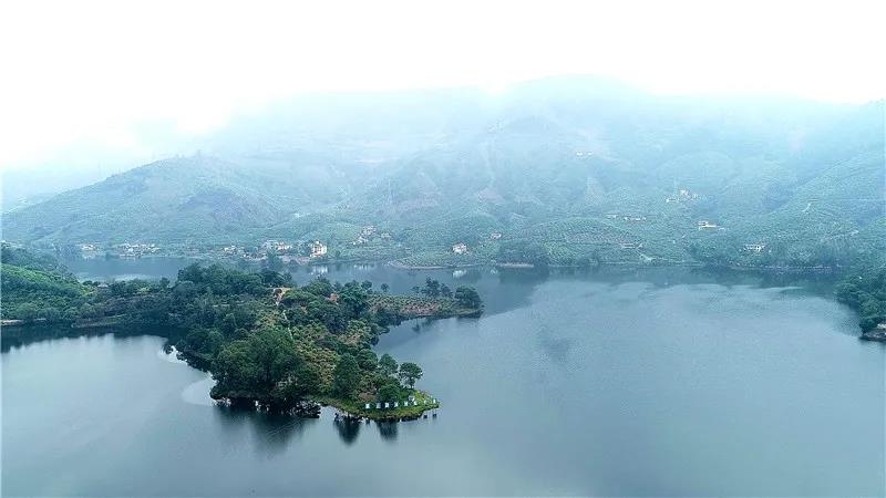 华坪县：产业扶贫筑牢增收根基 绿水青山育出“绿色银行”8.jpg