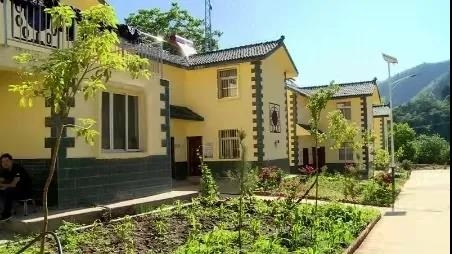 华坪县：产业扶贫筑牢增收根基 绿水青山育出“绿色银行”9.jpg