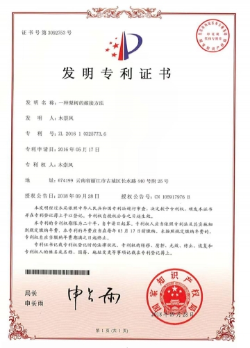 微信图片_20201121130322.jpg