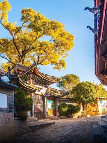 来冬日里的丽江，手捧一缕阳光 (5).jpg