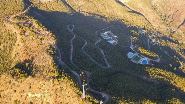 今年销售额达260万元！奉科大山里种出“致富椒”.jpg