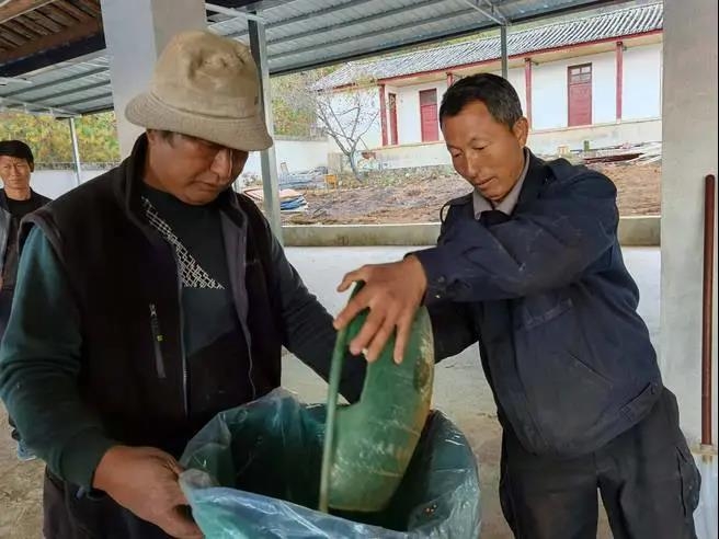 今年销售额达260万元！奉科大山里种出“致富椒”5.jpg