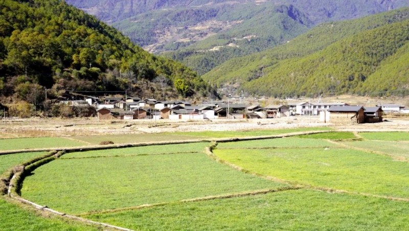 曹金明到黎明乡调研5.jpg