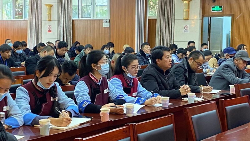 丽江古城遗产怎么保护？文物安全怎么保障？专家现场传授经验 (5).jpg