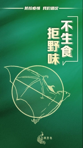 @云南人 疫情防控“四条底线”要坚决守住 (8).jpg