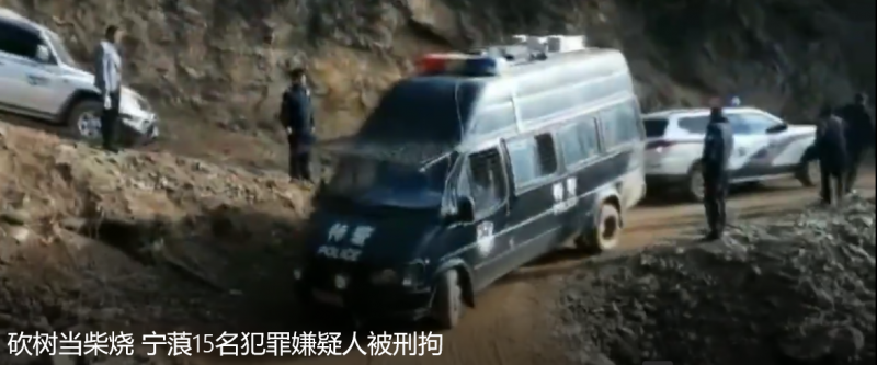 砍树当柴烧 宁蒗15名犯罪嫌疑人被刑拘.png