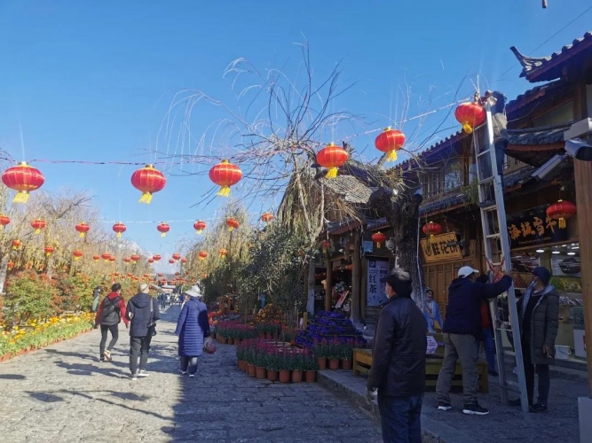丽江古城：大红灯笼高高挂， 4万盆鲜花迎暖春 (2).jpg
