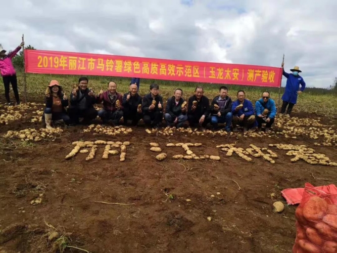 丽江高原特色现代农业发展取得了哪些成效？这些高光时刻值得记录！ (3).jpg