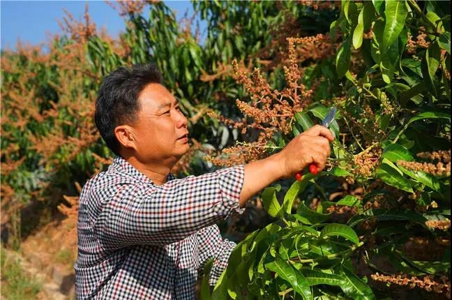 丽江千方百计充盈“米袋子”和“菜篮子”，第一产业增加值达77 (5).jpg