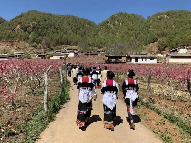 美丽乡村建设让丽江乡村有颜值有气质 (3).jpg