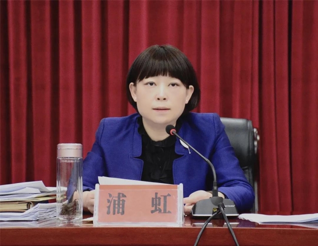 浦虹：深刻认识固定资产投资工作 一把手要亲自抓.jpg