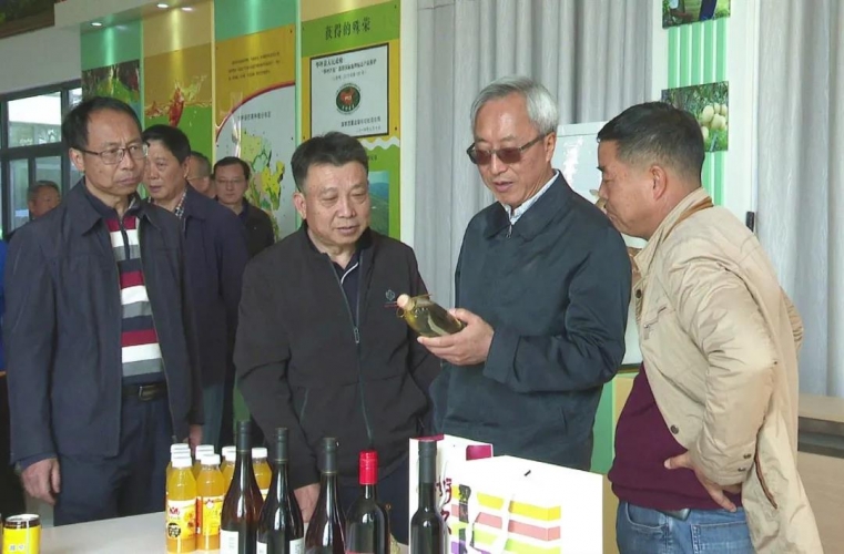 省政协副主席何波率队到华坪县开展调研 (3).jpg