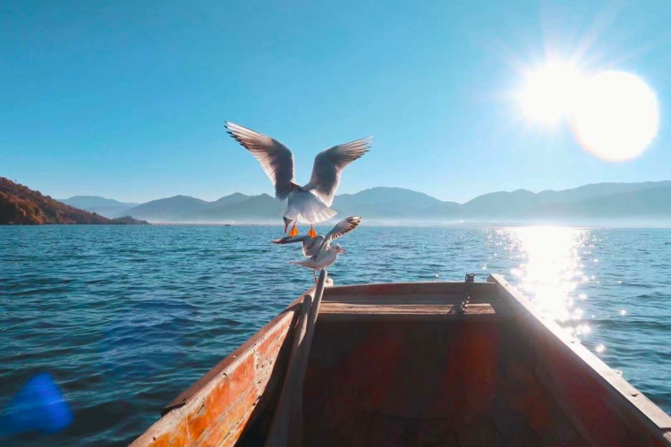 丽江市泸沽湖程海拉市海保护“十严禁”通告.jpeg