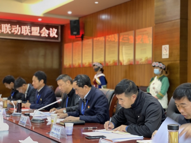 大研、束河、白沙城市旅游党建三城联动联盟会议举行 保证丽江古城高质量跨越式发展 (10).jpg
