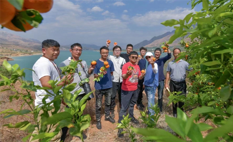 2021首届金沙江水果节启动，十二个月 每月都有鲜果品鉴 (2).jpg