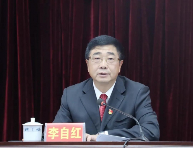 李自红当选中国共产党玉龙纳西族自治县第十四届委员会书记 和秋珍、和晓英当选副书记2.jpg
