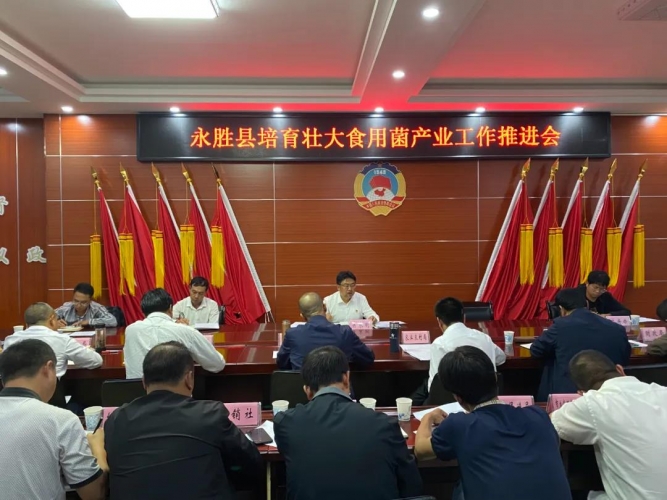 永胜：着力打造成为云南省食用菌第一大县.jpg