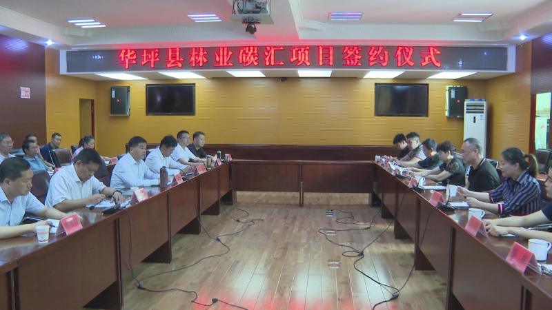 全市首例！华坪县与贵碳碳汇技术开发有限公司签订林业碳汇项目合作协议1.jpg