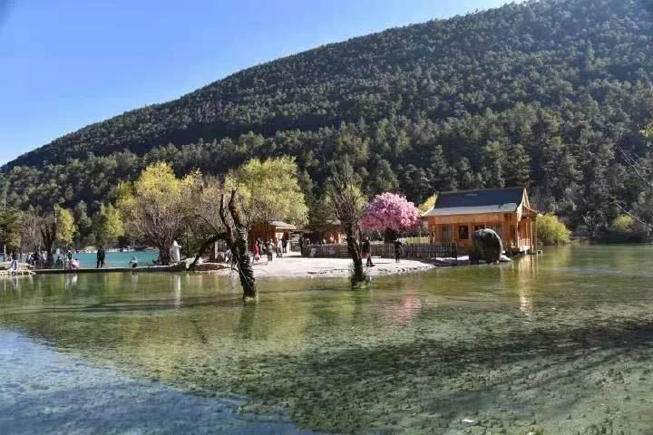 去水印  有奖征文，把丽江打造成以水为主题和灵魂的世界文化旅游名城（奚百川）4.jpg