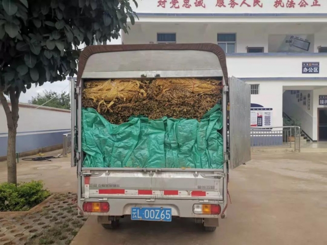 永胜经侦大队查获一起无证运输烟叶案