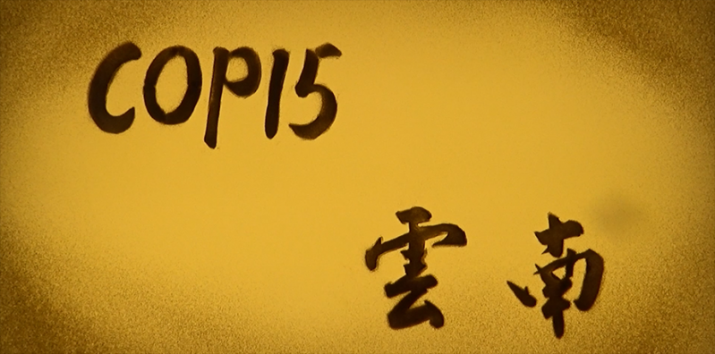 微信截图_20211011154549.png