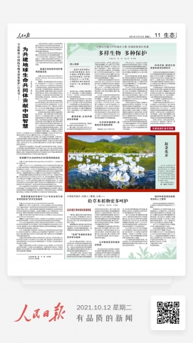 海菜花开，人民日报点赞云南泸沽湖水质稳定保持在国家地表水Ⅰ类标准.jpg