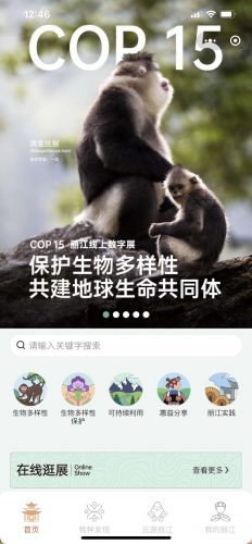 线上展程序 (1).jpg