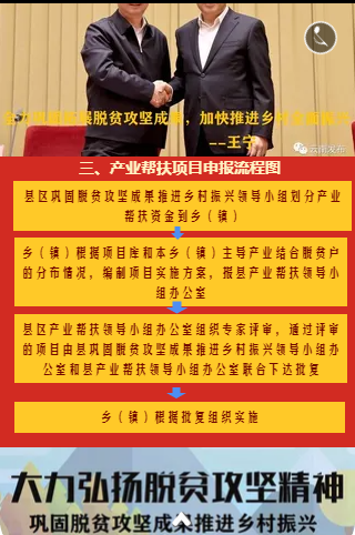 丽江市巩固脱贫攻坚成果推进乡村振兴政策流程图