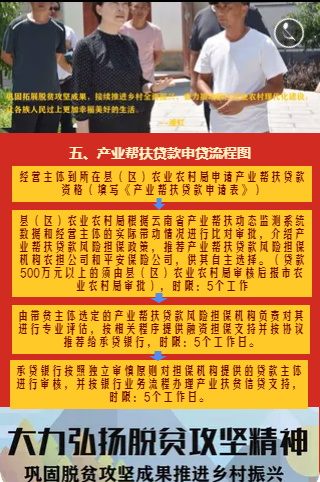 丽江市巩固脱贫攻坚成果推进乡村振兴政策流程图