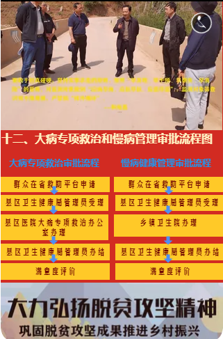 丽江市巩固脱贫攻坚成果推进乡村振兴政策流程图