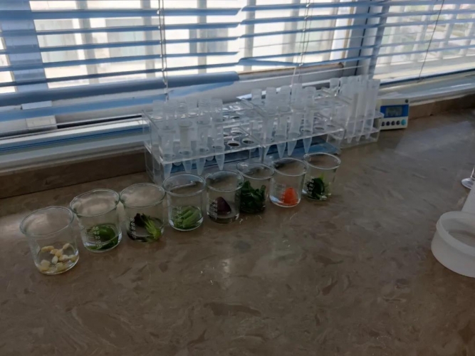 校园食品安全“变味”？丽江师生舌尖上的安全如何保障？ (10).jpg