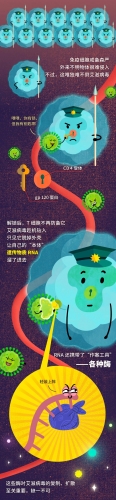 艾滋病毒入侵后，其实你还有72小时自救