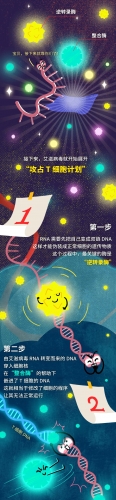 艾滋病毒入侵后，其实你还有72小时自救