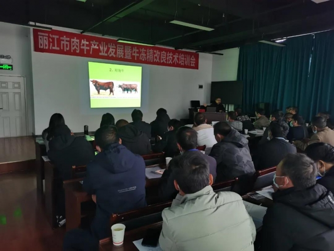 永胜县召开市肉牛产业发展暨牛冻精改良技术培训会议