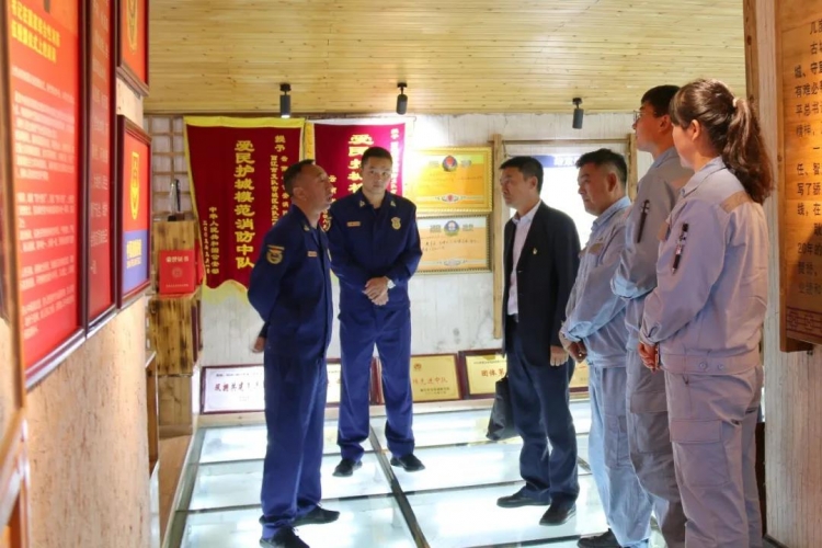 “蓝蓝CP”出道，丽江古城电气消防安全有了新保障！ (6).jpg