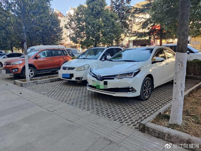 丽江纯电动汽车一千多台多为网约车，个人买纯电汽车不到10% (6).jpg