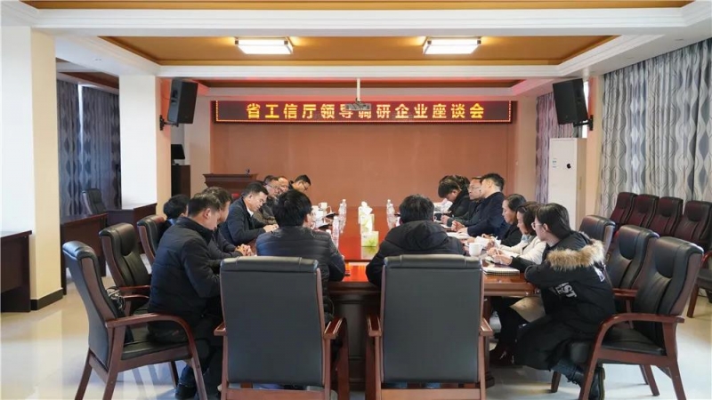 省工业和信息化厅领导到永胜调研工业经济运行及重点项目建设情况2.jpg