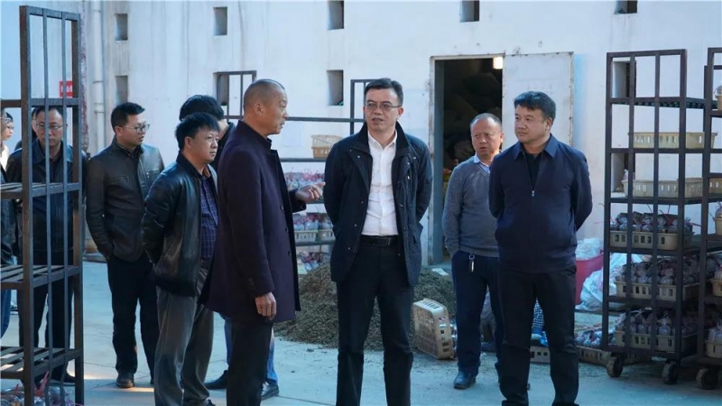 省工业和信息化厅领导到永胜调研工业经济运行及重点项目建设情况1.jpg