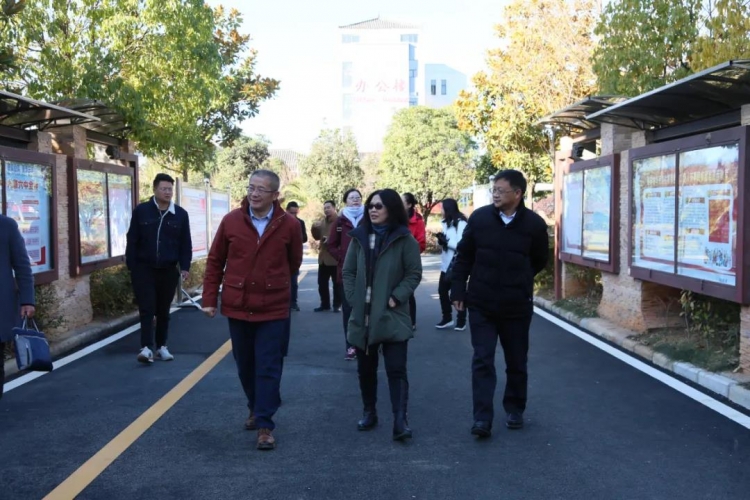 云南省财政厅二级巡视员何茜华一行到丽师实地调研并指导工作1.jpg