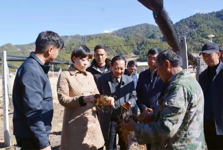 浦虹调研林长制及森林草原防灭火工作