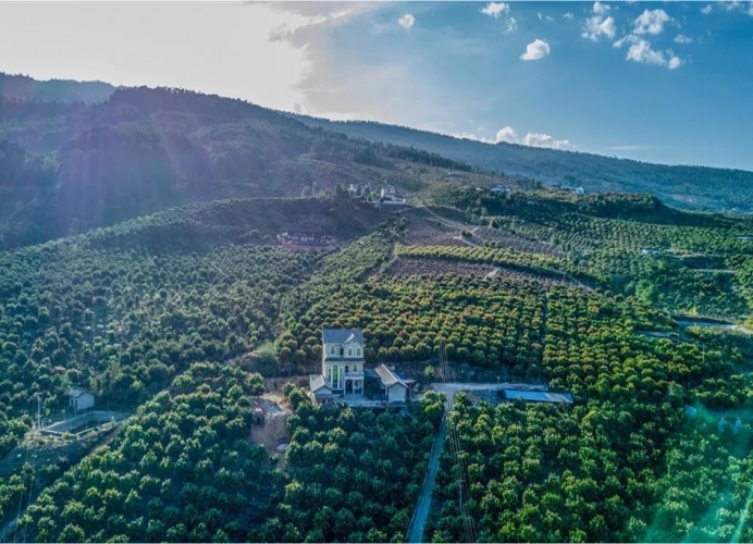 加快建设全国“绿水青山就是金山银山”实践创新基地——华坪县将着力打造“两山”文化.jpg