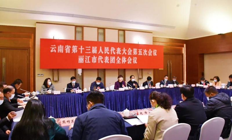 丽江市代表团审议省“两院”工作报告