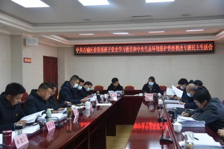 苏武主持召开区委常委班子党史学习教育和中央生态环境保护督察整改专题民主生活会1.jpg